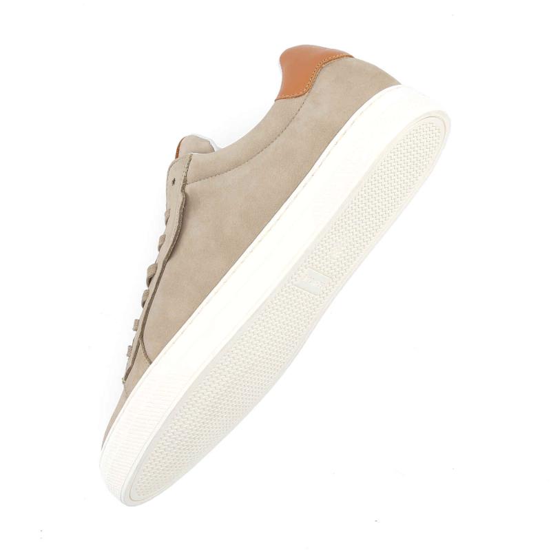 SPARK CLAY M - NUBUCK/ORSO - TAUPE/CAMEL